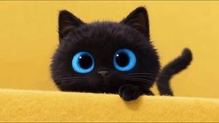 可爱的小黑猫