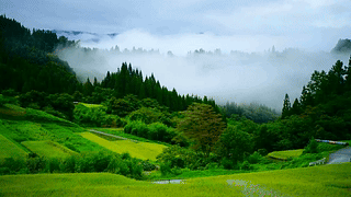 雨后雾气高山田舍
