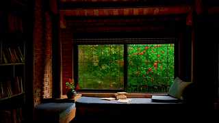 小屋窗外雨景