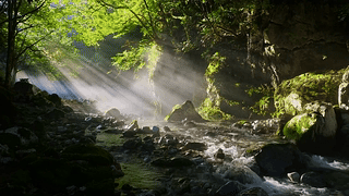 阳光雾气溪流