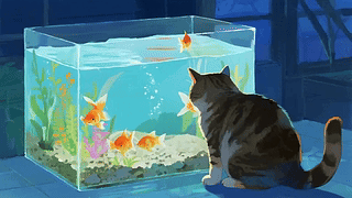 猫咪看着鱼缸里的鱼