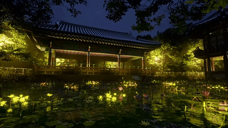 雨夜园林荷塘