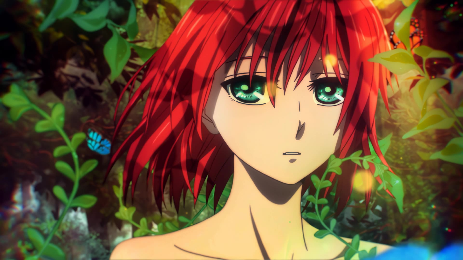 Chise Hatori (Mahoutsukai no Yome)/羽鸟智世（《魔法使的新娘》）