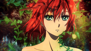 Chise Hatori (Mahoutsukai no Yome)/羽鸟智世（《魔法使的新娘》）