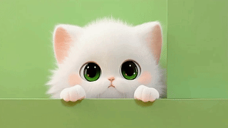 可爱的猫咪
