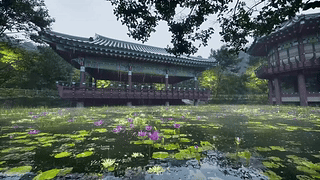 雨天荷塘园林