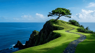 美丽的海岸风景