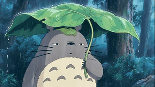 避雨