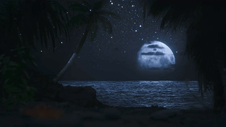 月夜海面