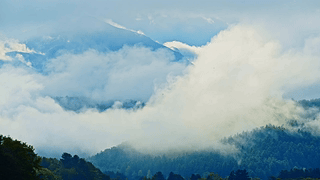 高山云雾