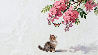 花枝下的猫咪和蝴蝶