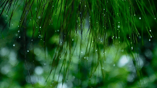 雨滴