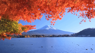 红叶映照富士山