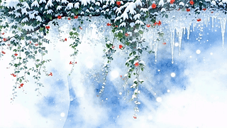雪景树木景色
