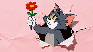 献花的汤姆