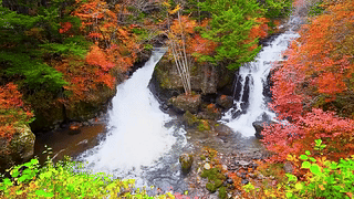 红叶树林山涧流水