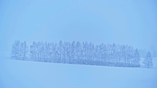 唯美冬雪