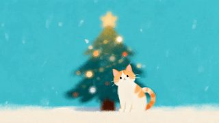 圣诞节猫咪