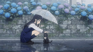 记忆里给小猫打伞的女孩