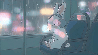 雨夜下班打工兔