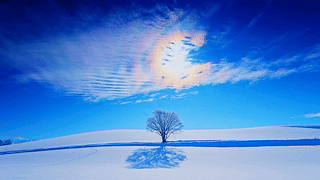 雪后金色阳光