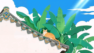 屋顶上的猫