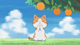 可爱许愿猫咪