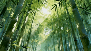 小清新竹林