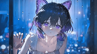 雨夜蝴蝶忍