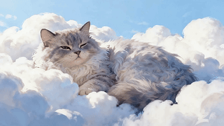 可爱猫咪