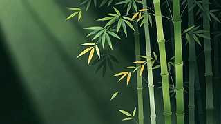 护眼竹