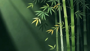 护眼竹 动态壁纸 | 作者：草莓酱