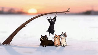 淘气的猫咪