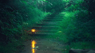 放松雨景