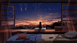 落日余晖中的猫 (4K)