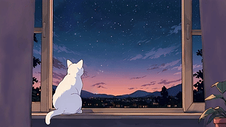 窗边独坐的猫
