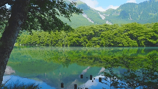 绿树湖边