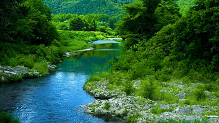 护眼流水
