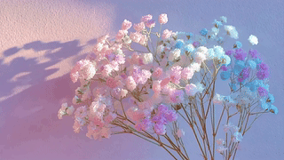 细碎春光花影满天星