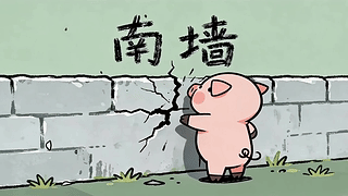 撞南墙的猪猪