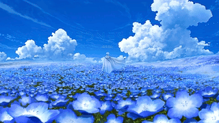葬送的芙莉莲-辛美尔「苍月草」【4K】Frieren: Beyond Journey's End-Himmel-Nemophila menziesii [4K]