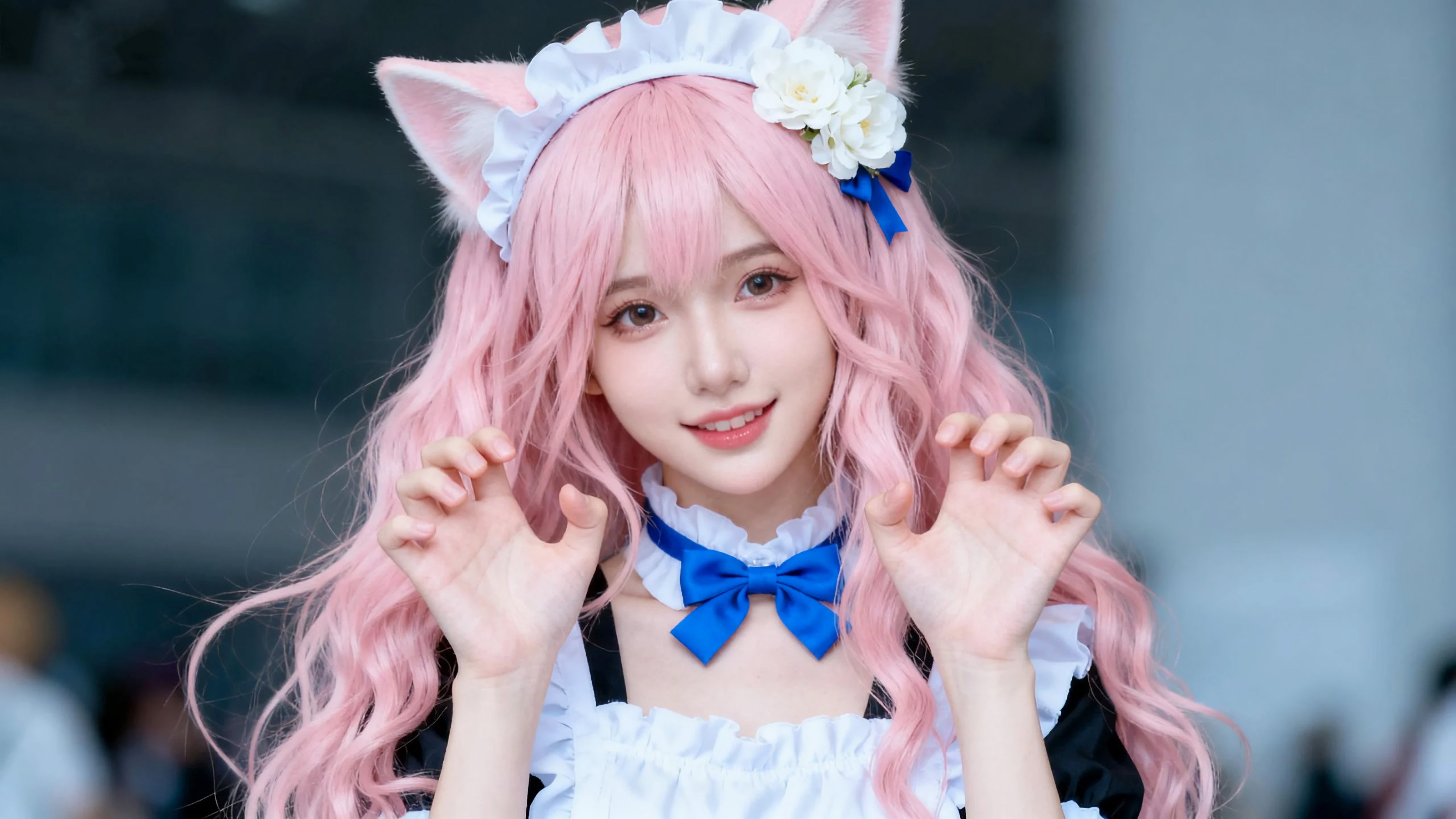 双马尾猫耳少女