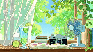 夏日慢时光
