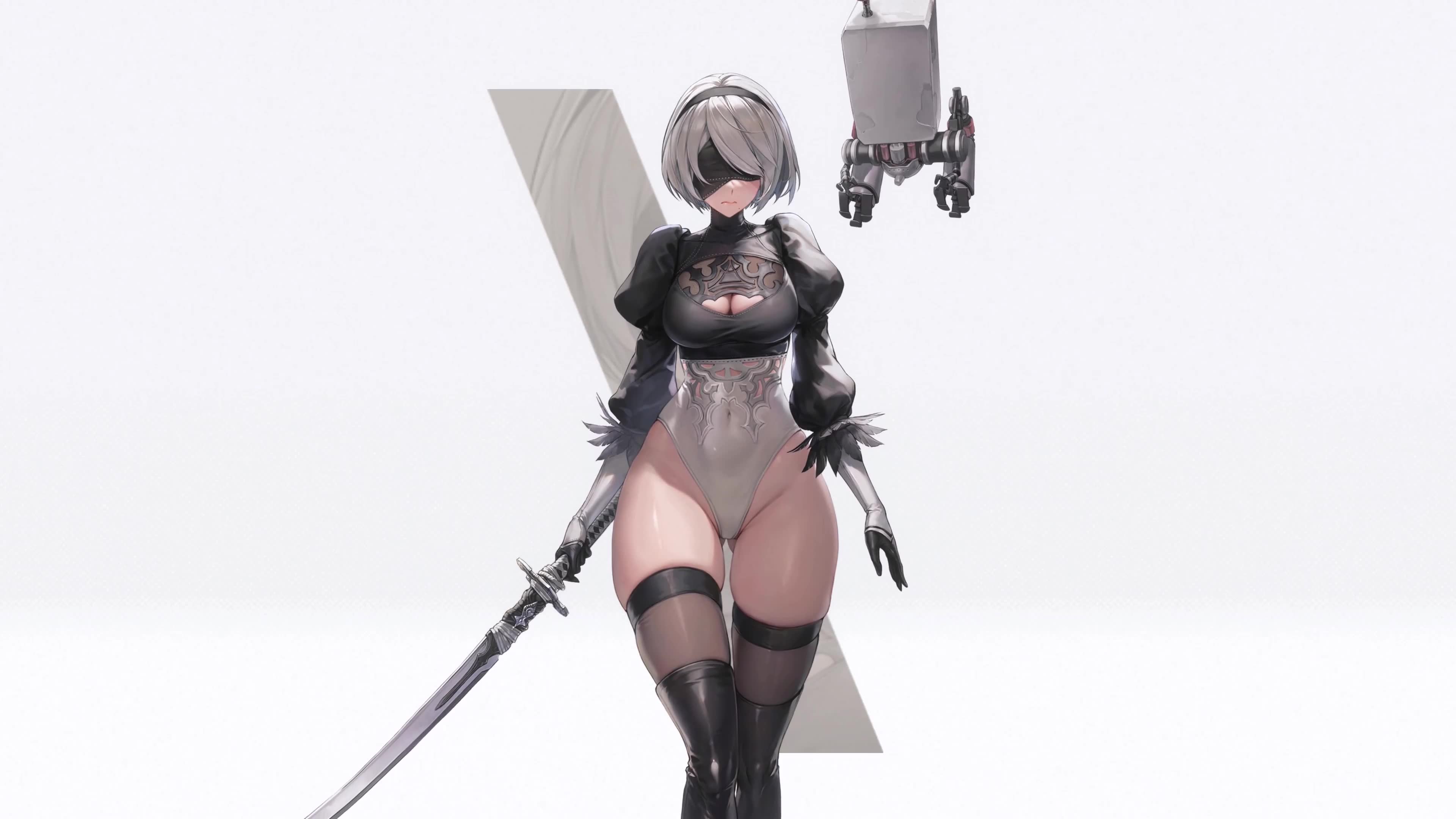 胜利女神：Nikke x NieR：Automata 2B