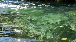见水发财
