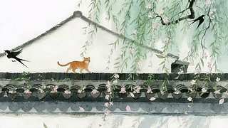 猫咪与燕子