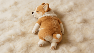 慵懒的狗狗