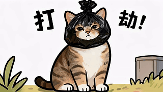打劫小猫