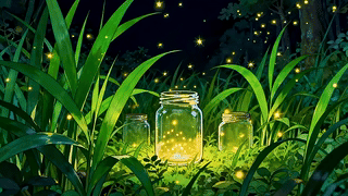 夜晚的萤火虫
