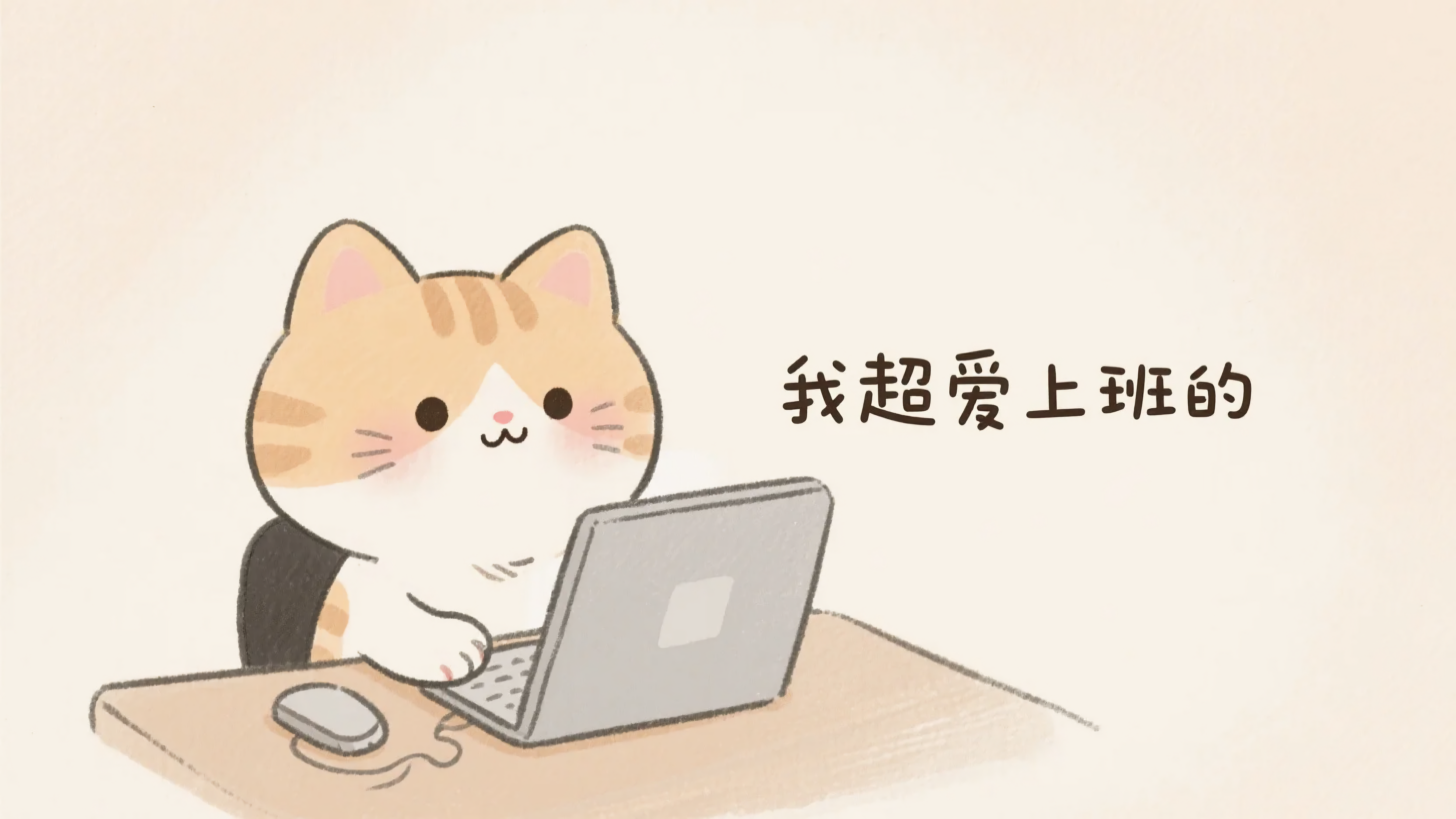 猫咪超爱上班